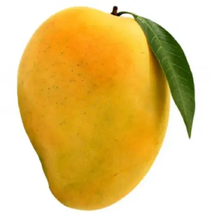 انبه